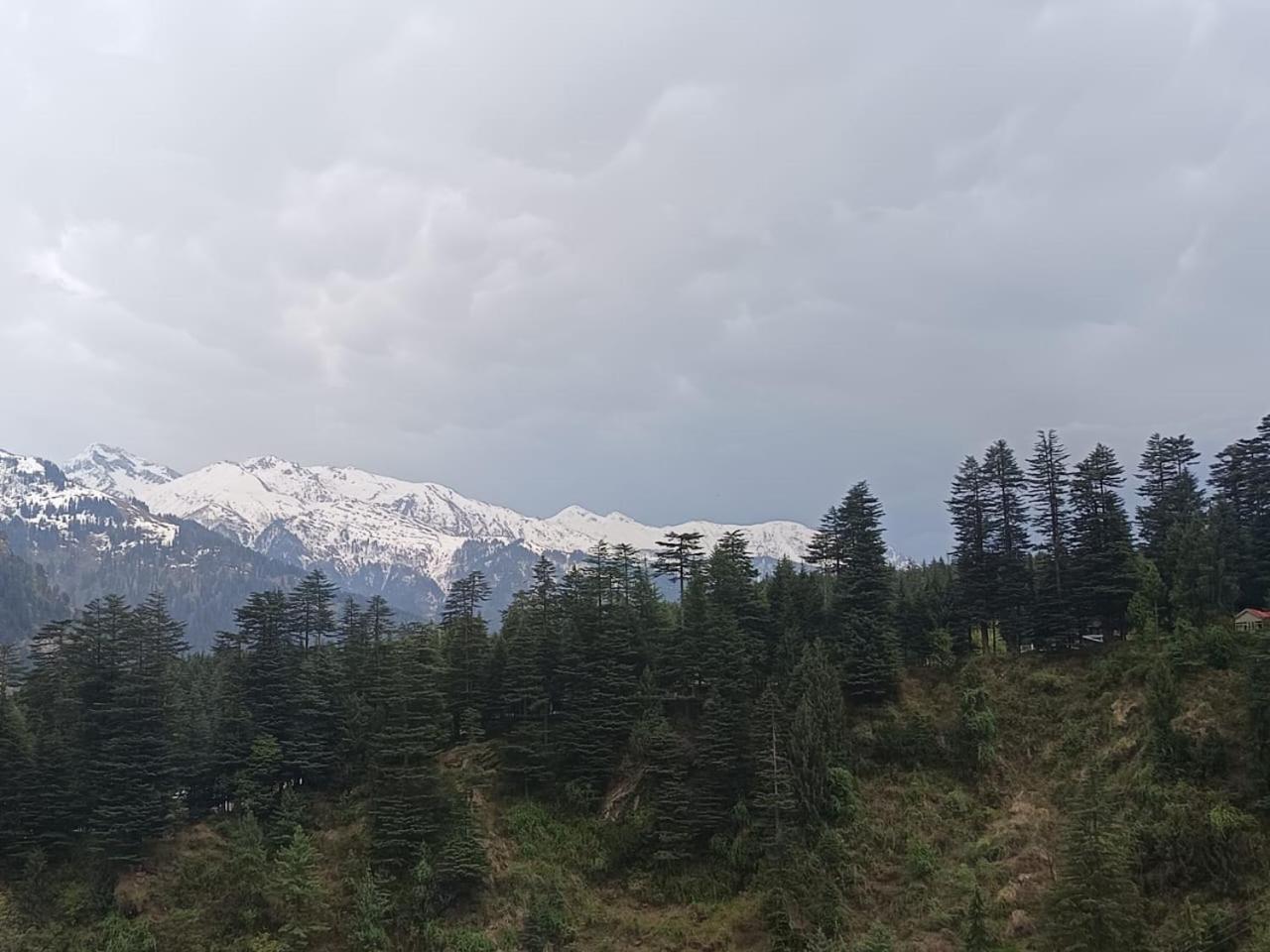 Non Stop Cafe Hostel & Stay Manali  Room photo